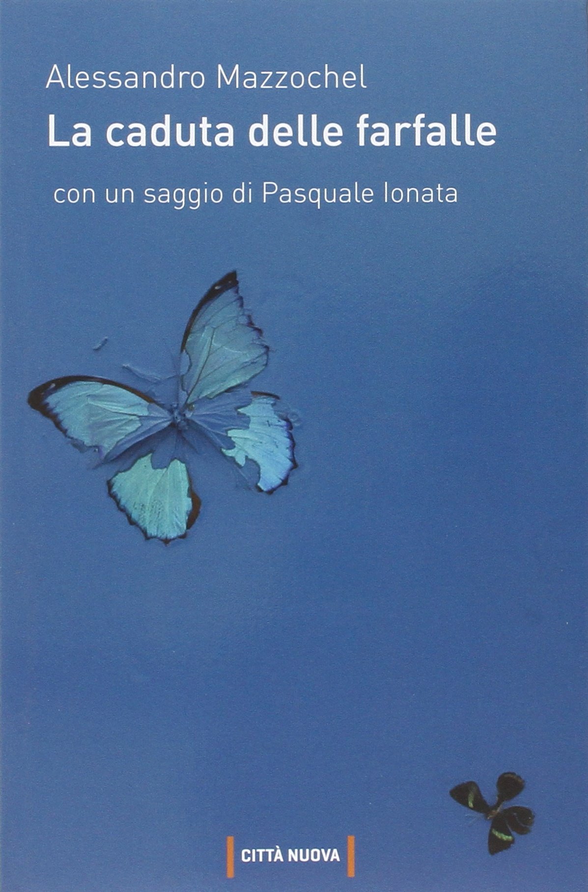 81r3WzCNmL Recensioni