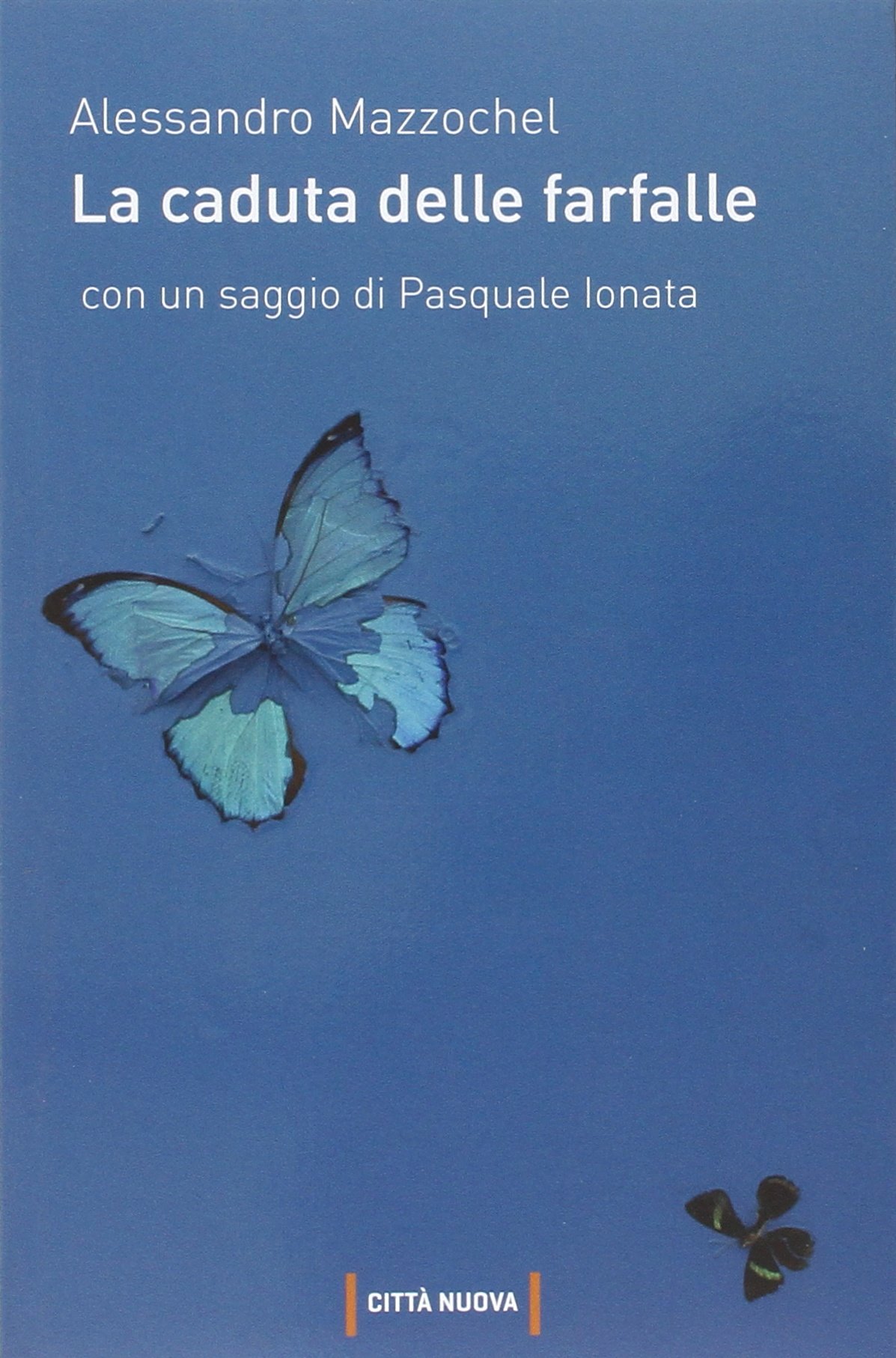 Recensione di La Caduta Delle Farfalle – Alessandro Mazzochel