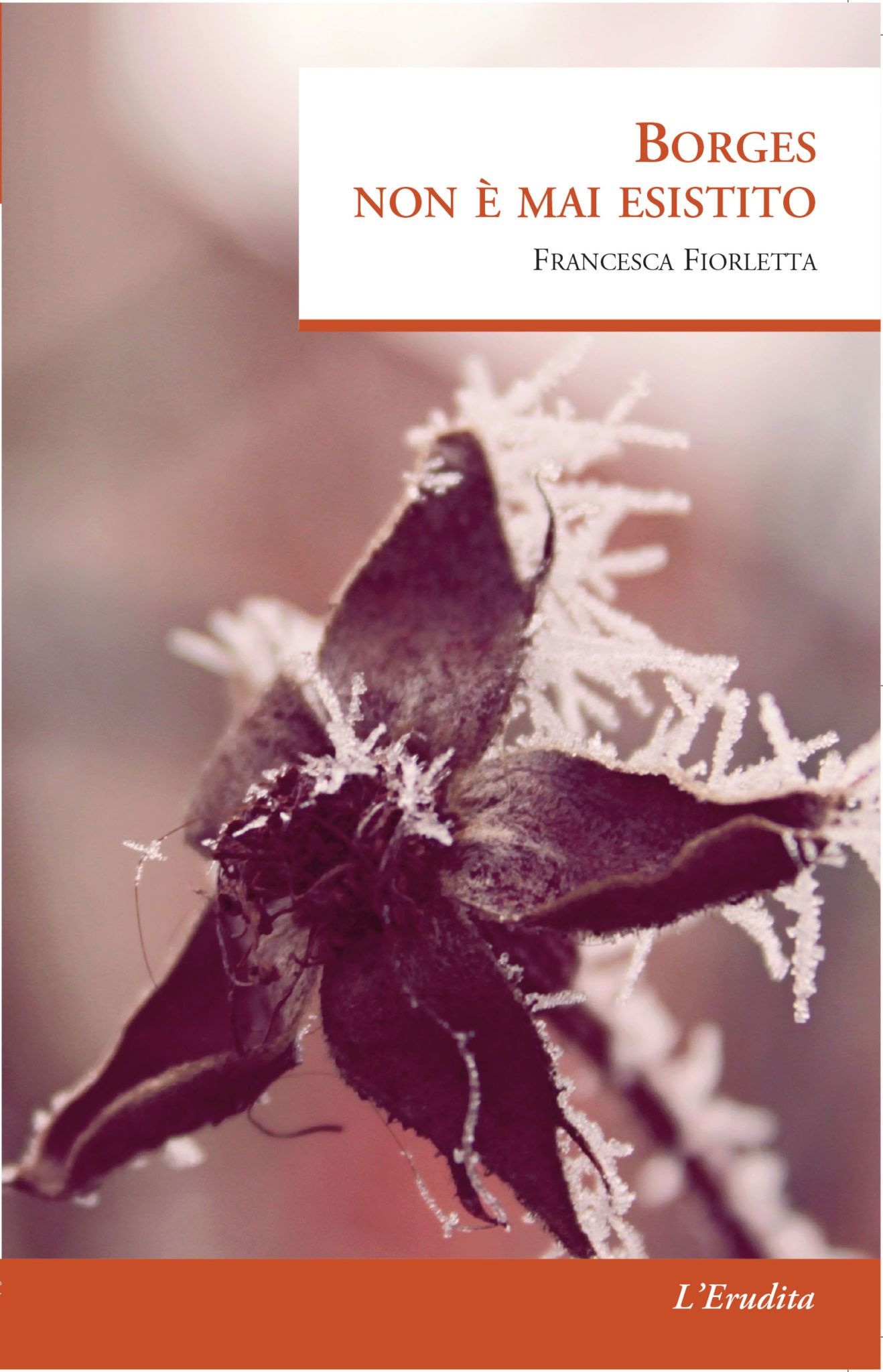 Recensione di Borges Non È Mai Esistito – Francesca Fiorletta