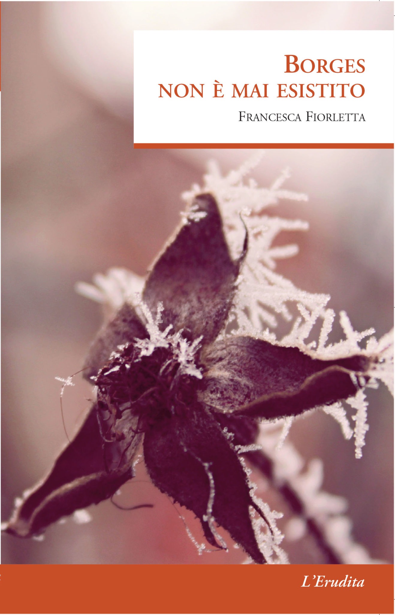 Borges non è mai esistito Recensioni