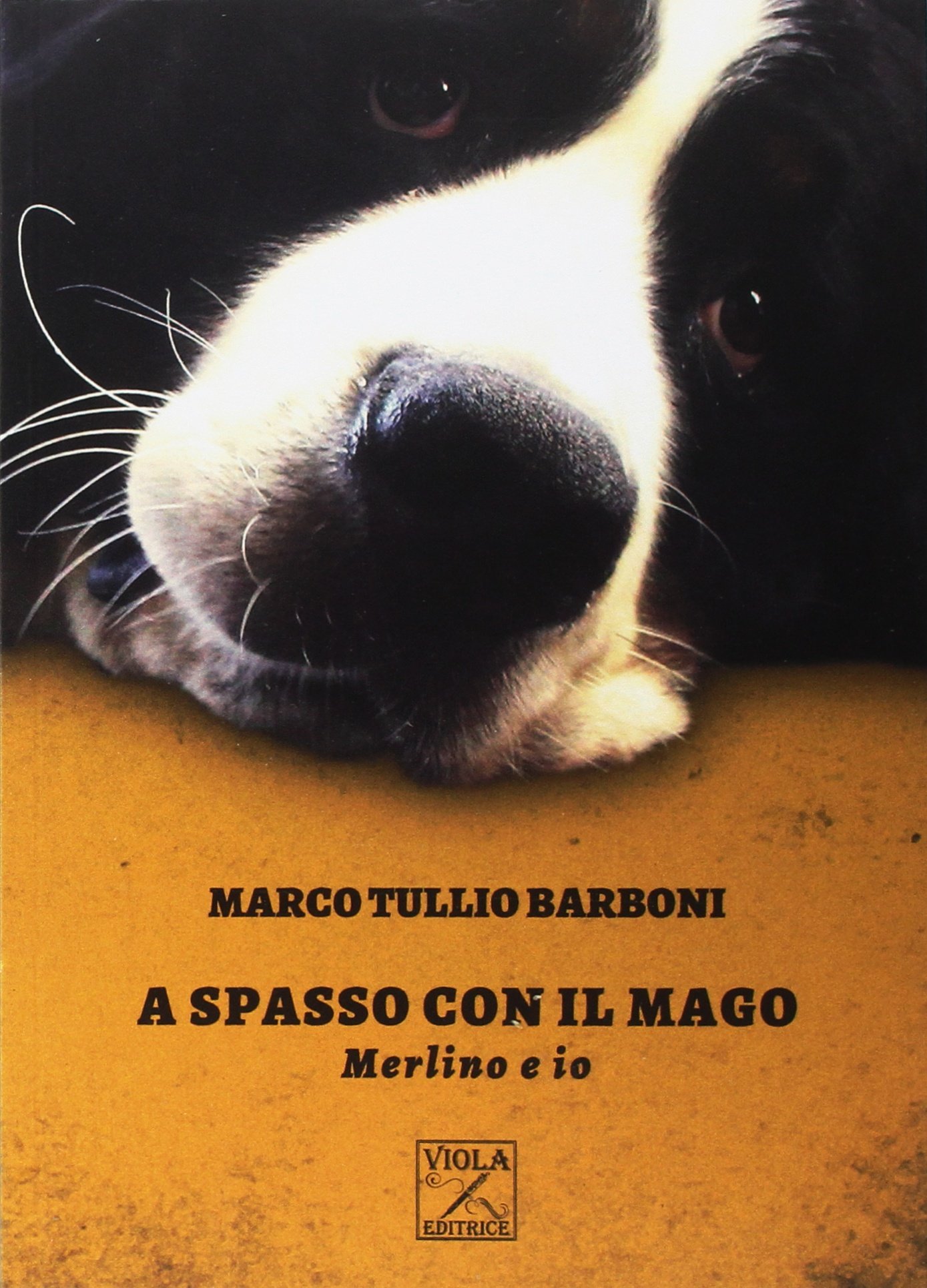 Recensione di A Spasso Con Il Mago – M. T. Barboni