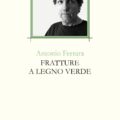 Fratture a legno verde Ferrara Recensioni