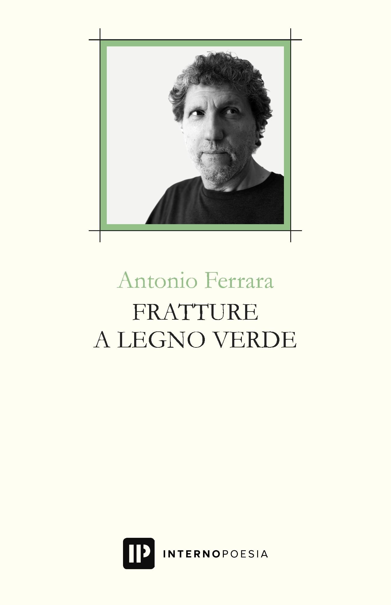 Recensione di Fratture A Legno Verde – Antonio Ferrara