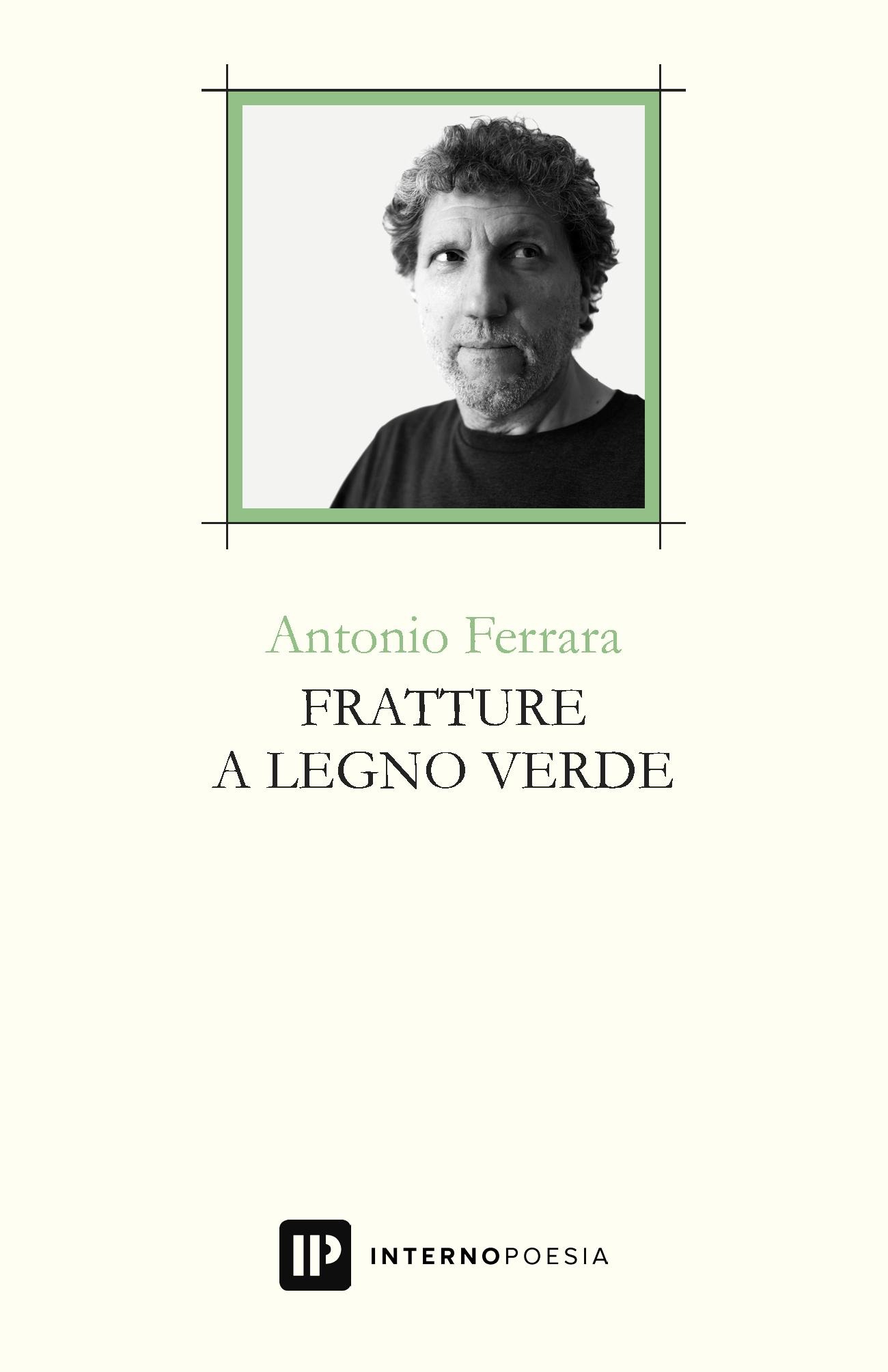 Fratture a legno verde Ferrara Recensioni