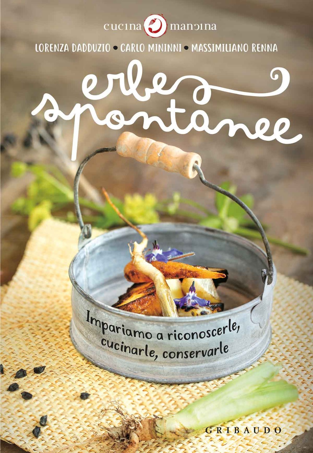 Recensione di Erbe Spontanee – AA VV