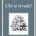 Chi Si Rivede Recensioni