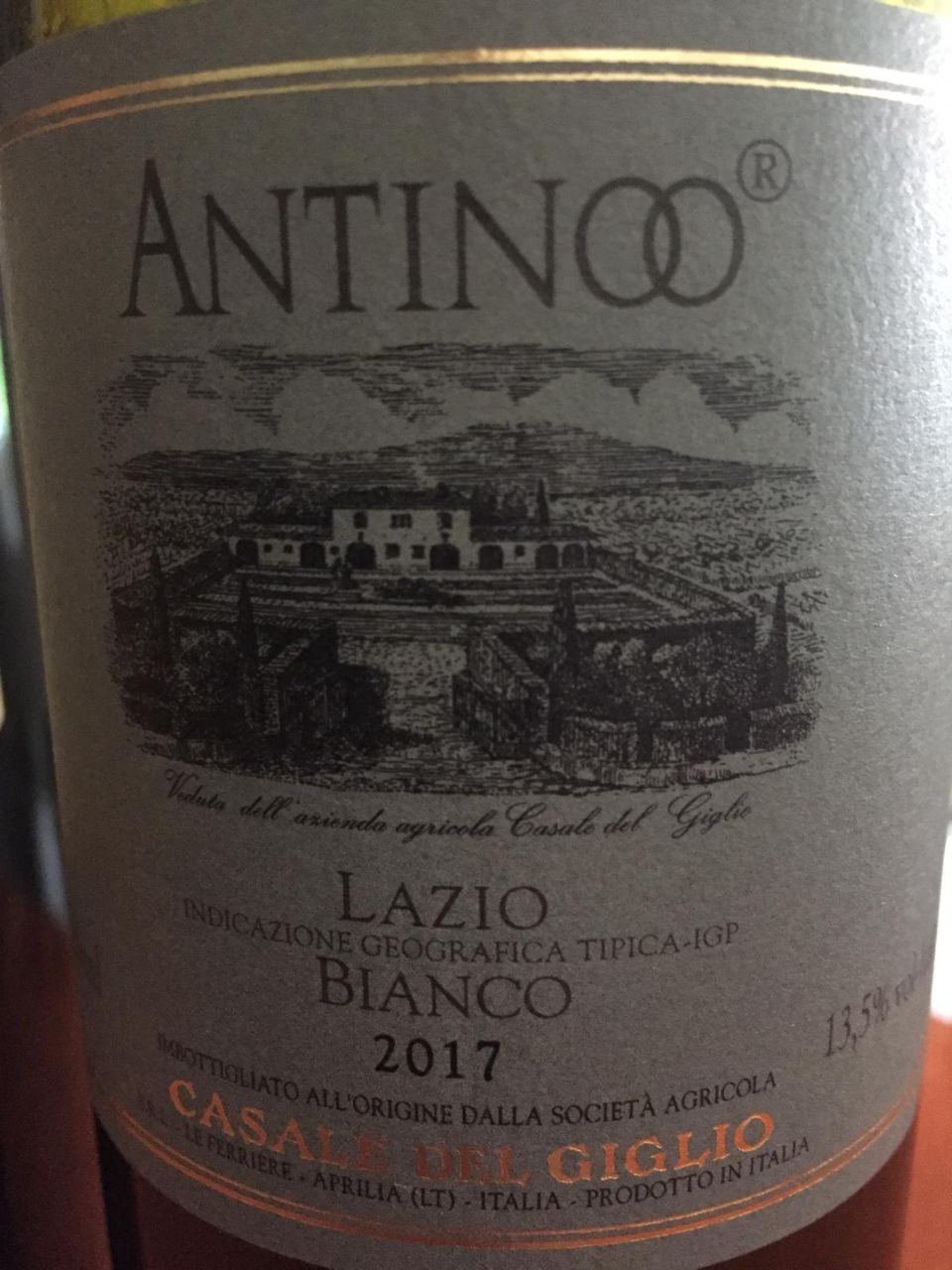 Antinoo Recensioni