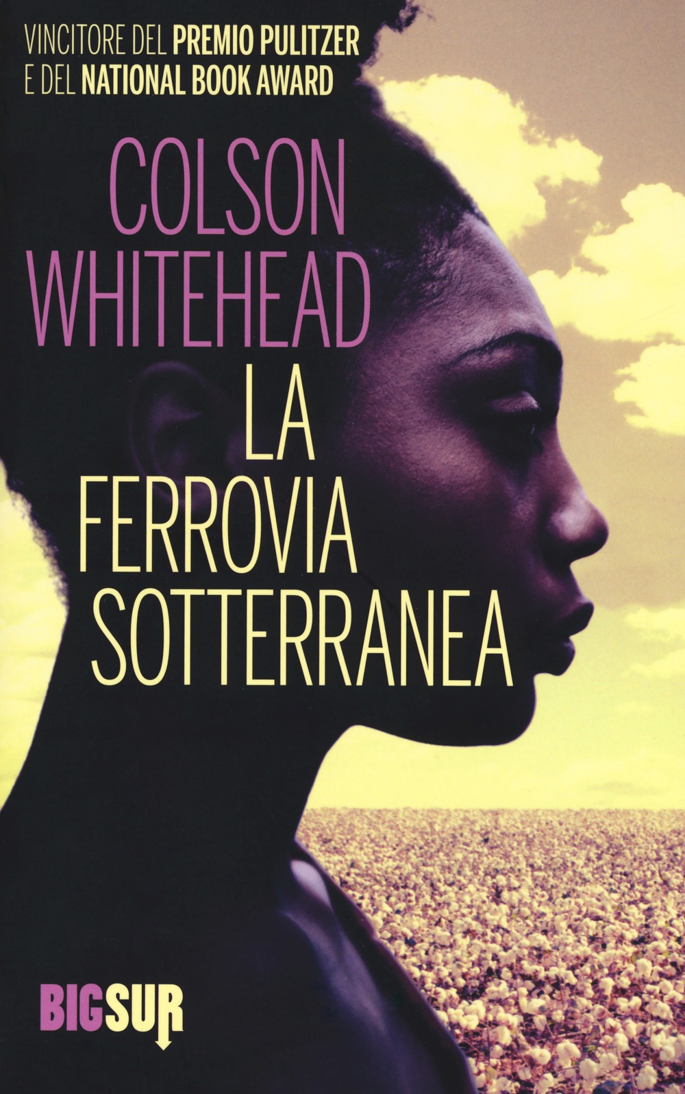 La ferrovia sotterranea Recensioni