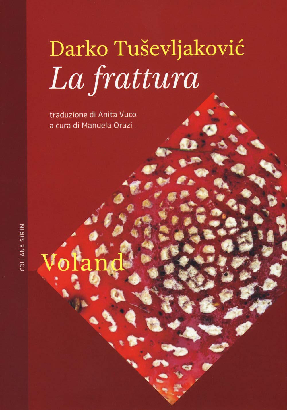 Recensione di La Frattura – Darko Tuševljaković