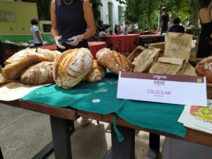 Calzolari Recensioni
