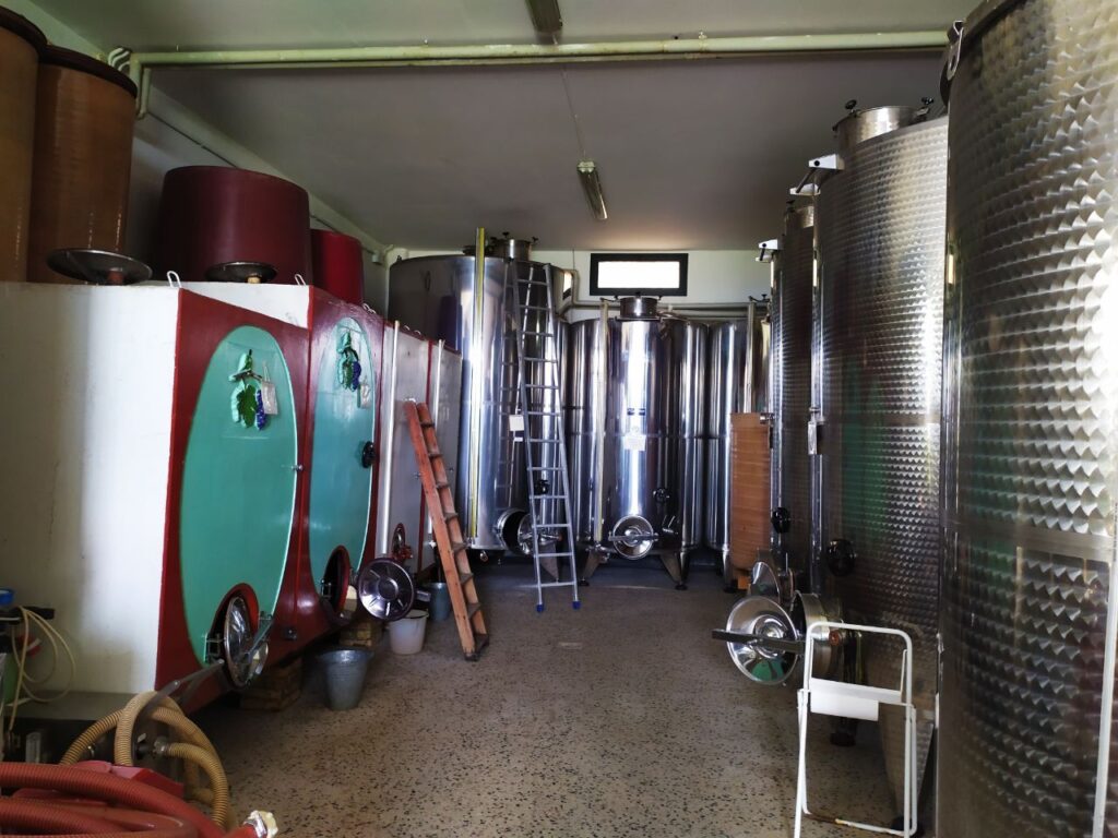 BOTTI1 Recensioni