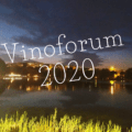 Vinoforum 2020 Recensioni