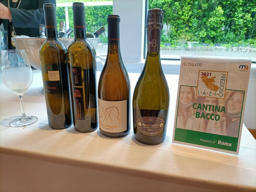 Cantina Bacco Recensioni