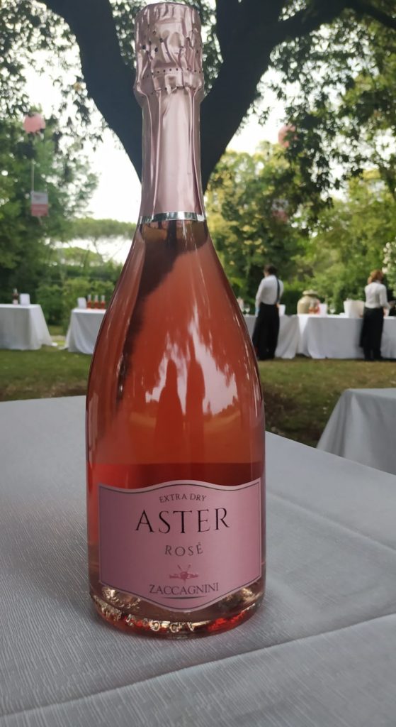 Aster Zaccagnini Recensioni