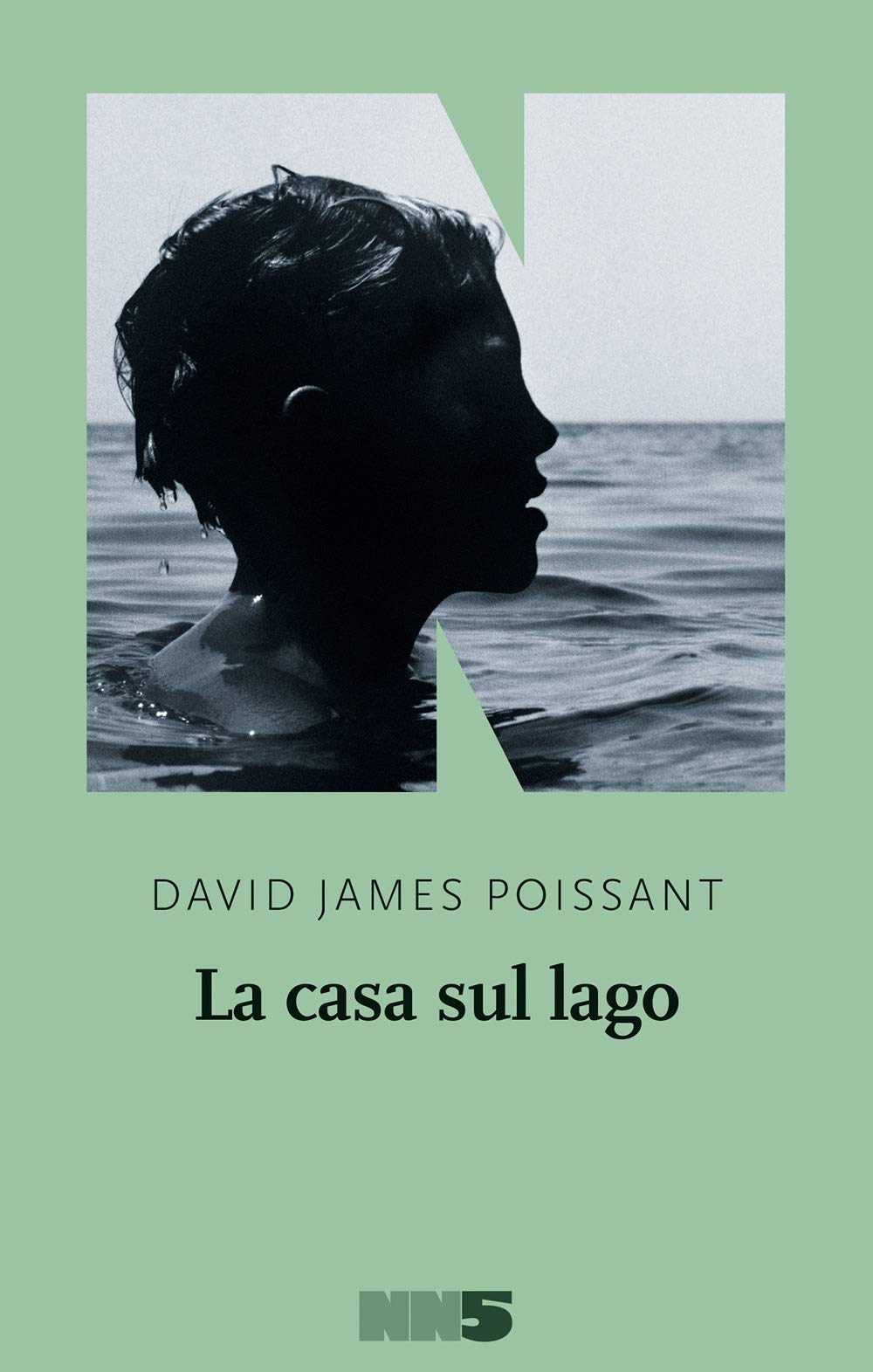 Recensione di La Casa Sul Lago -David James Poissant