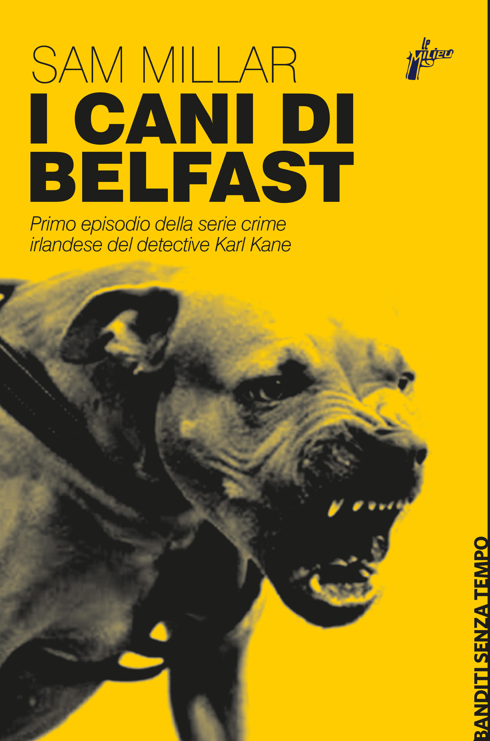 I cani di Belfast Recensioni