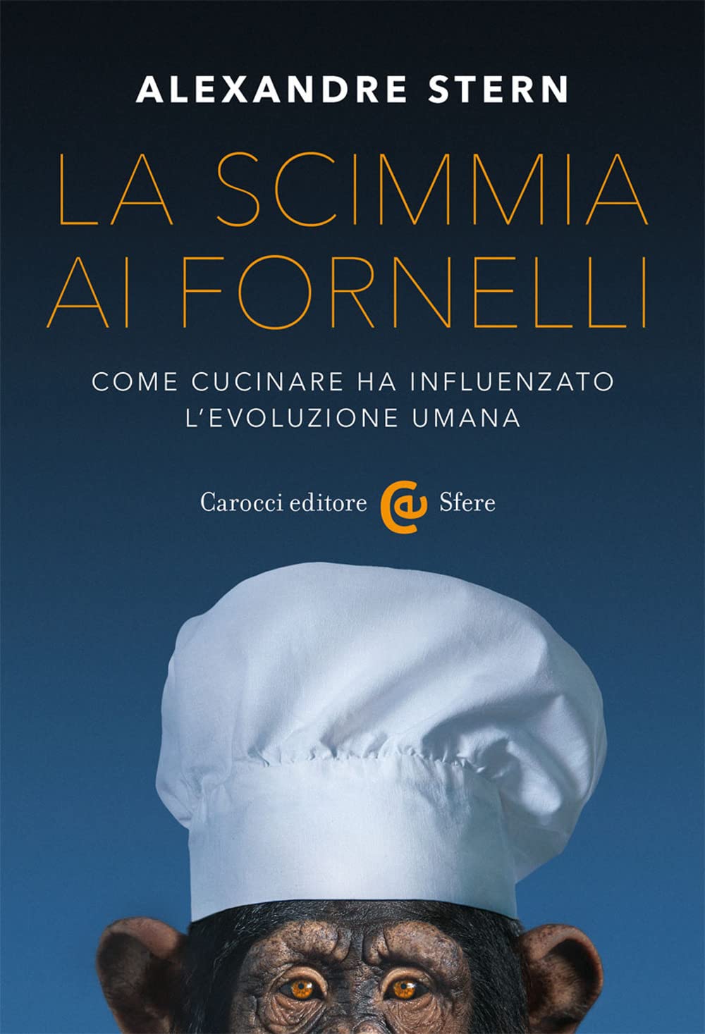 La Scimmia Ai Fornelli – Alexandre Stern