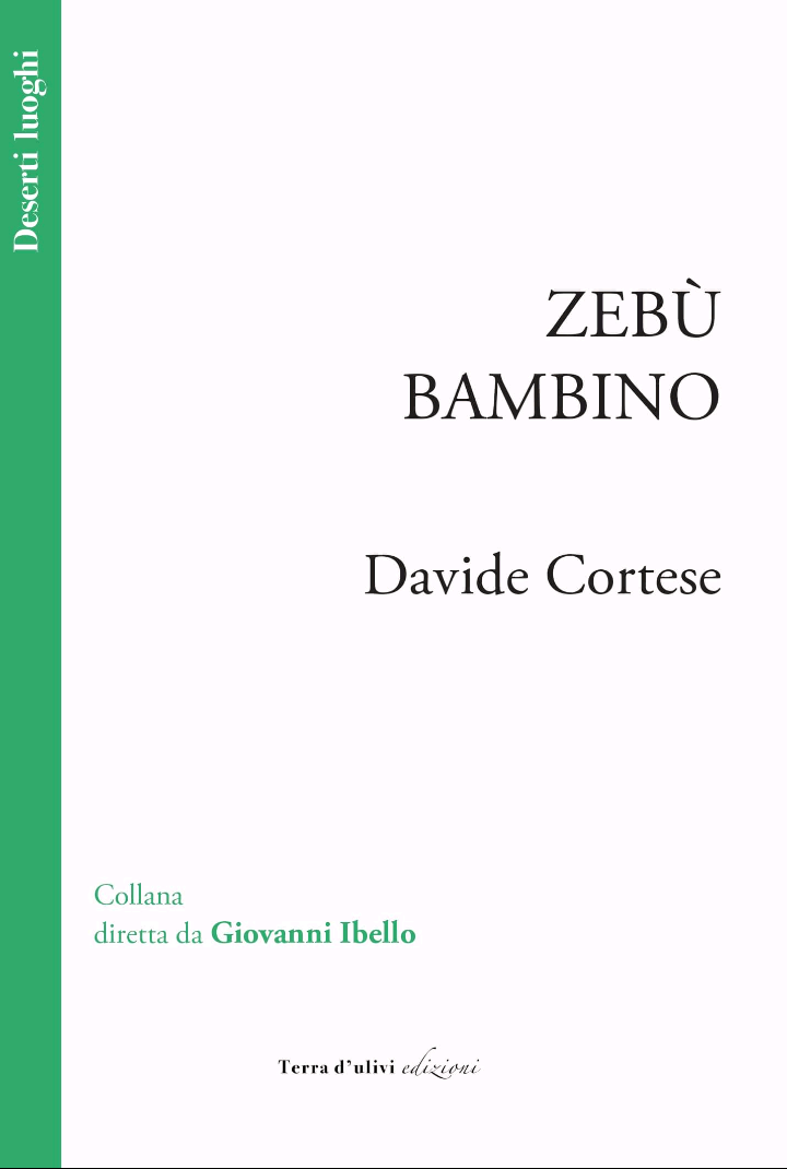 Recensione di Zebù Bambino – Davide Cortese