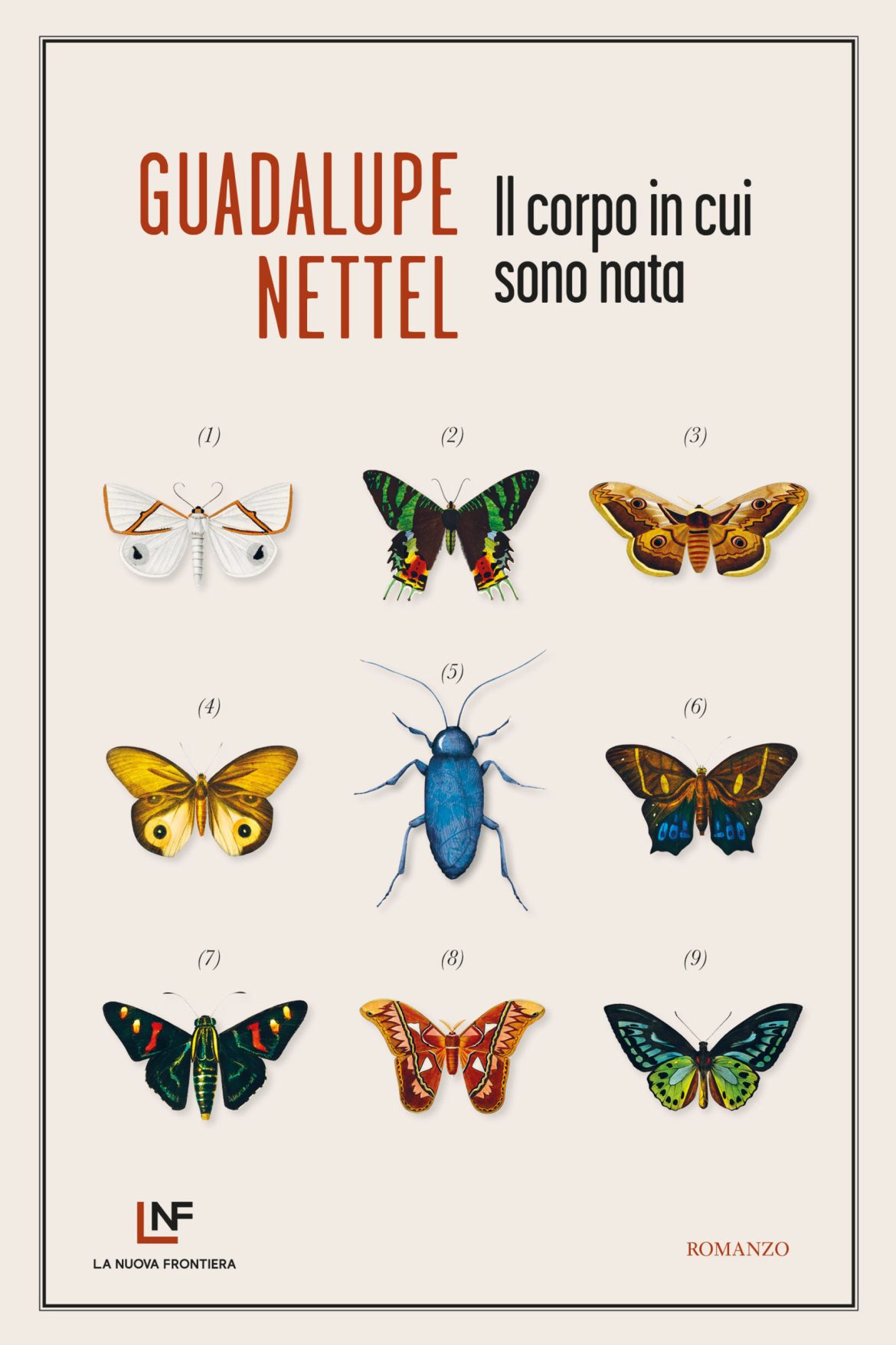 Recensione di Il Corpo In Cui Sono Nata – G. Nettel