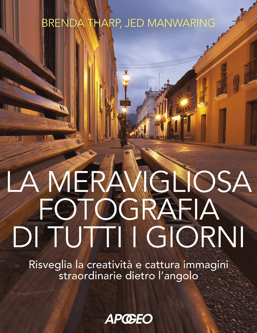 La Meravigliosa Fotografia Di Tutti I Giorni Recensioni