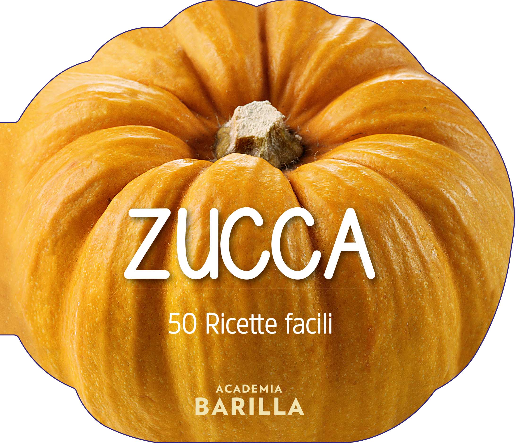 Copertina ZUCCA Recensioni