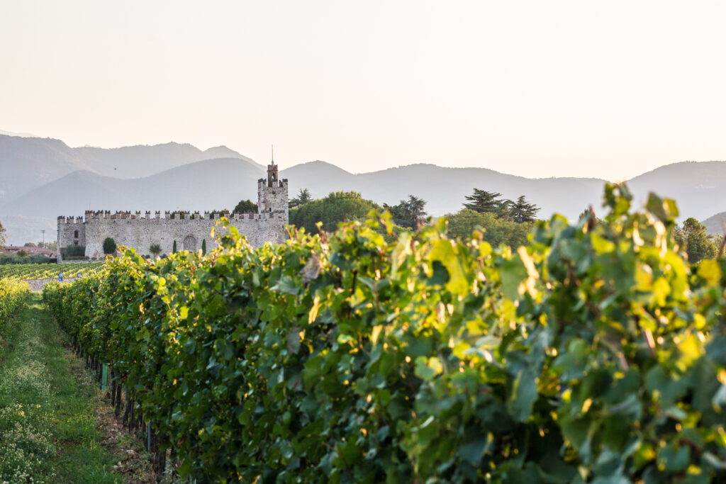 Vigna e castello di Passirano Recensioni