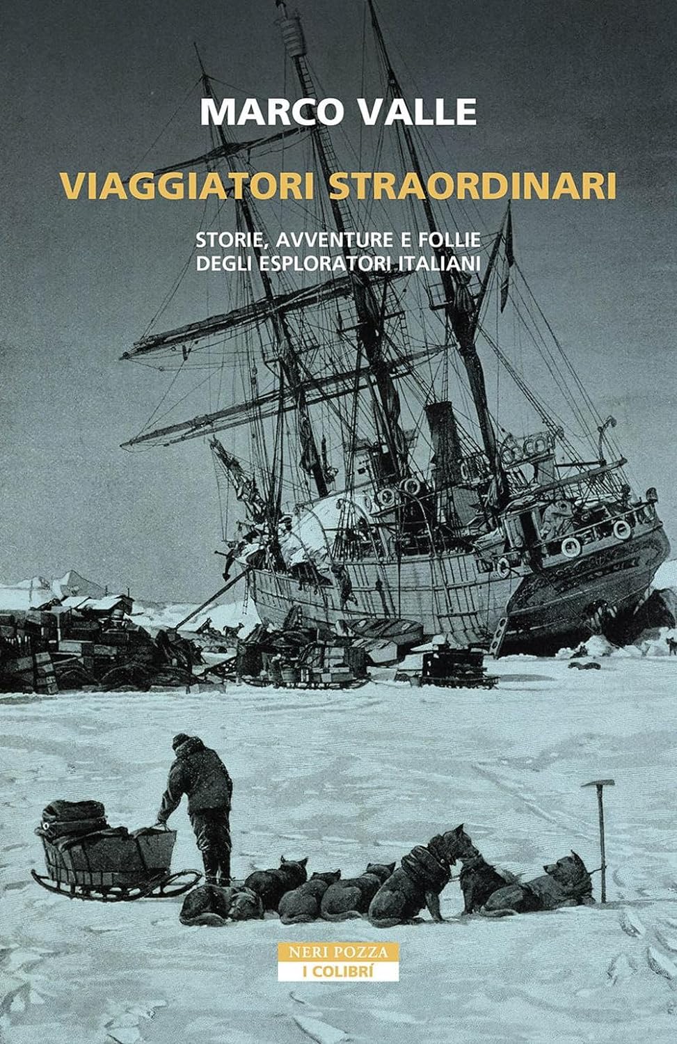 Viaggiatori Straordinari Recensioni