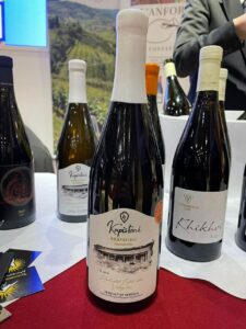 Rome Wine Expo 2024 15 georgia 2 Recensioni