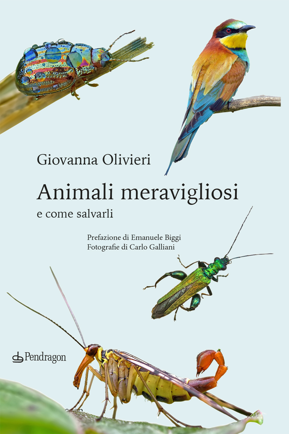 Animali Meravigliosi di Giovanna Olivieri – Recensione