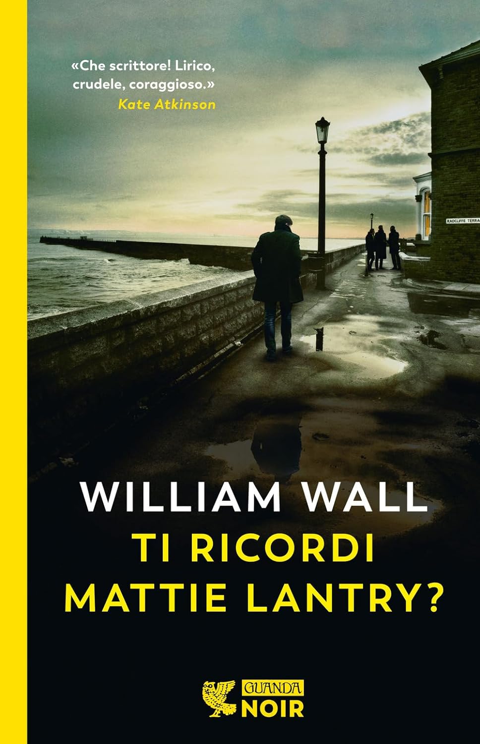 Ti ricordi Mattie Lantry Recensioni