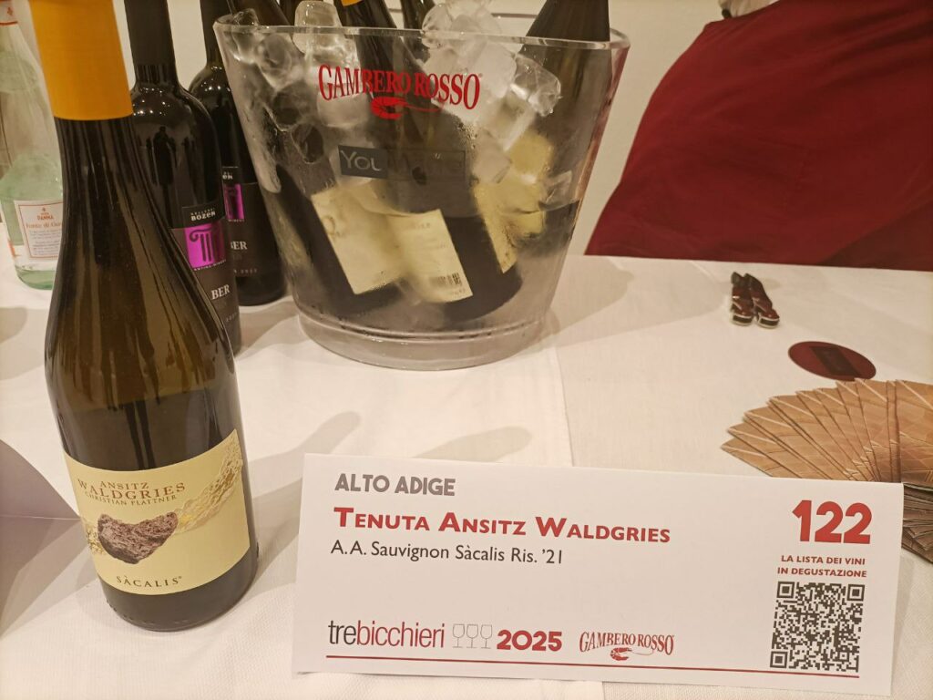 ALTO ADIGE TOP BIANCO Recensioni