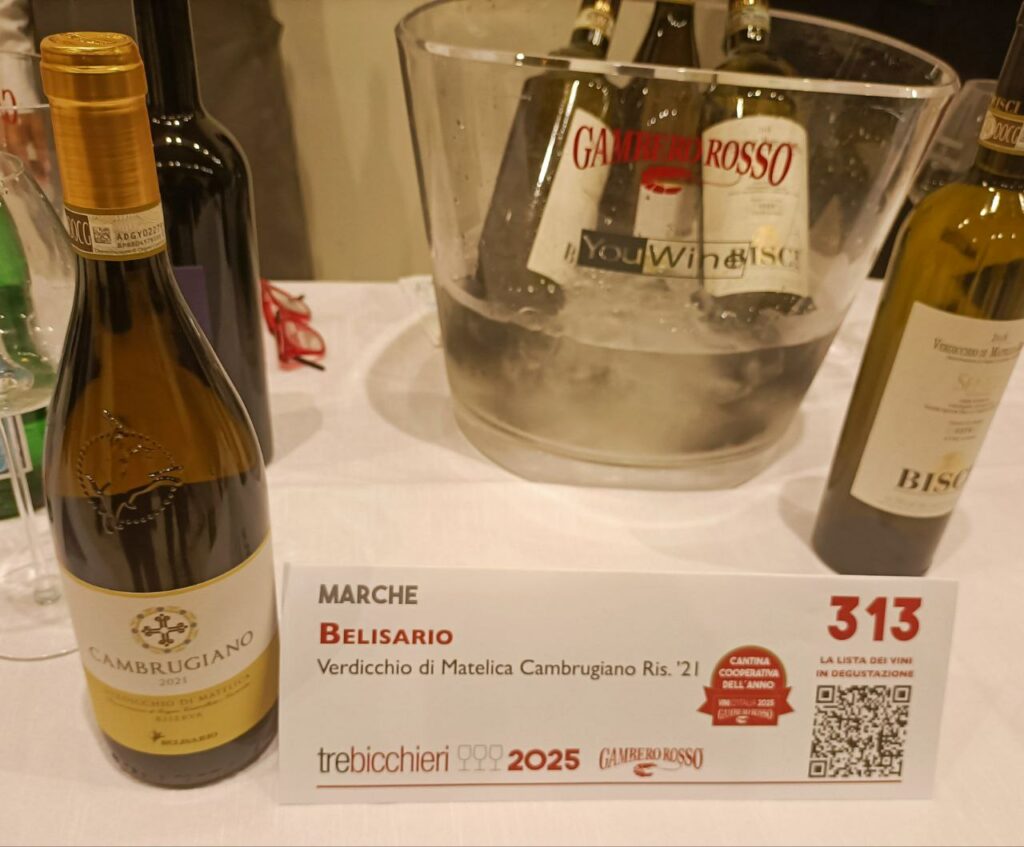 BELISARIO VERDICCHIO Recensioni