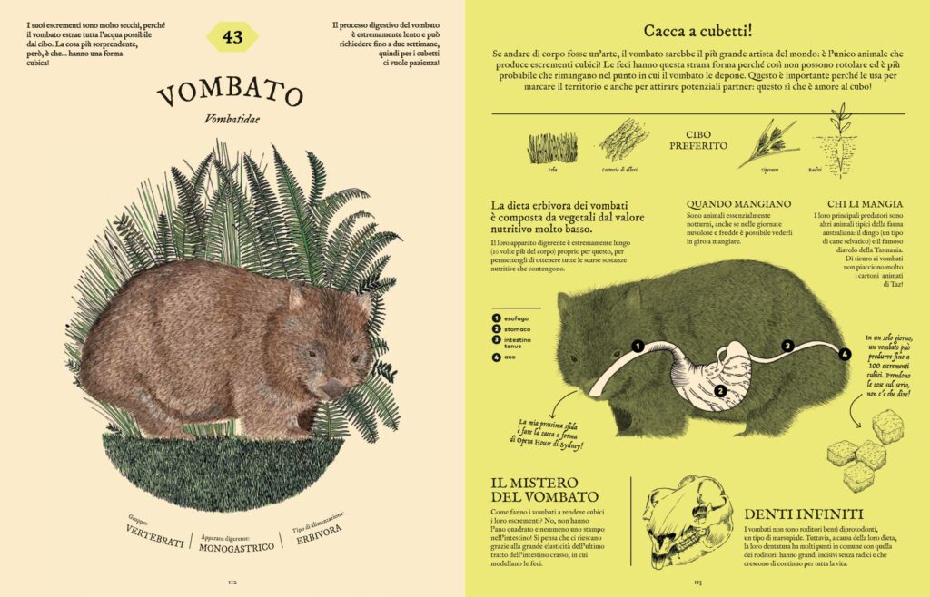Digestario di Aina Bestard - Recensione 3 DIGESTARIO 1 Recensioni